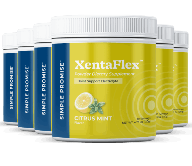 what is XentaFlex